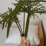 Zatisje リゾート サヴドリア