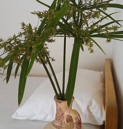 Zatisje Rezort Savudrija