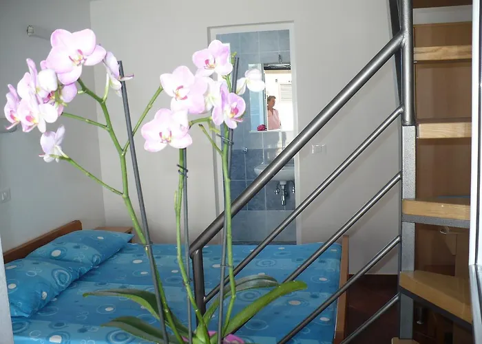 리조트 Zatisje 사부드리자